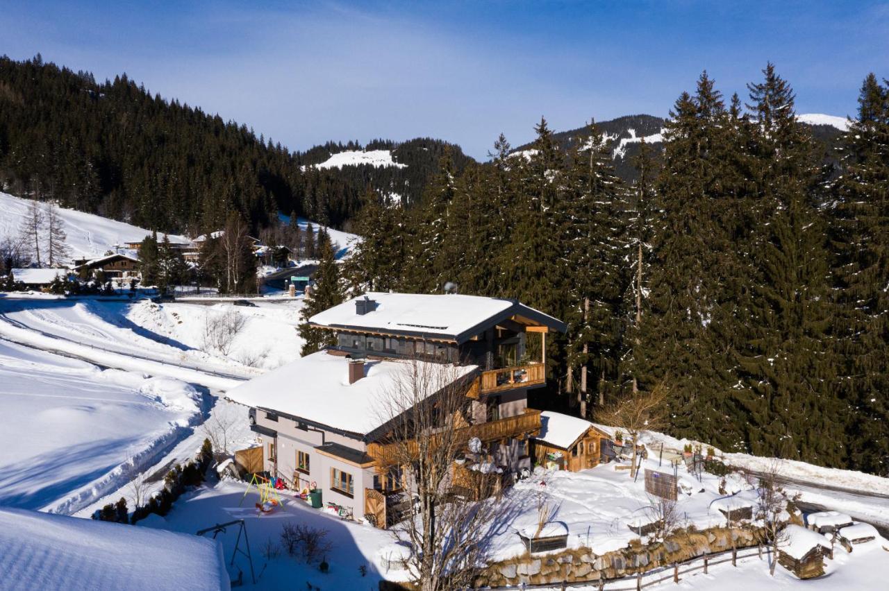 Ski In - Ski Out Panoramaferienhaus Breitmoos Neben Mittelstation Mittersill Exterior photo